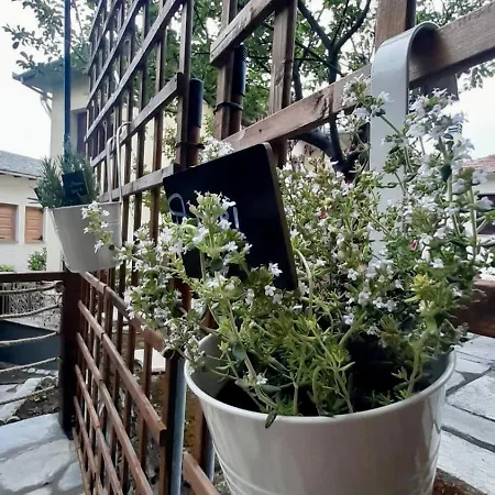 بيت للعطل Andromeda Pelion بورتاريا